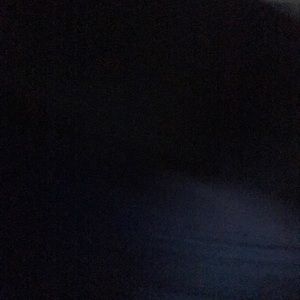 Meet your Posher, Reyna